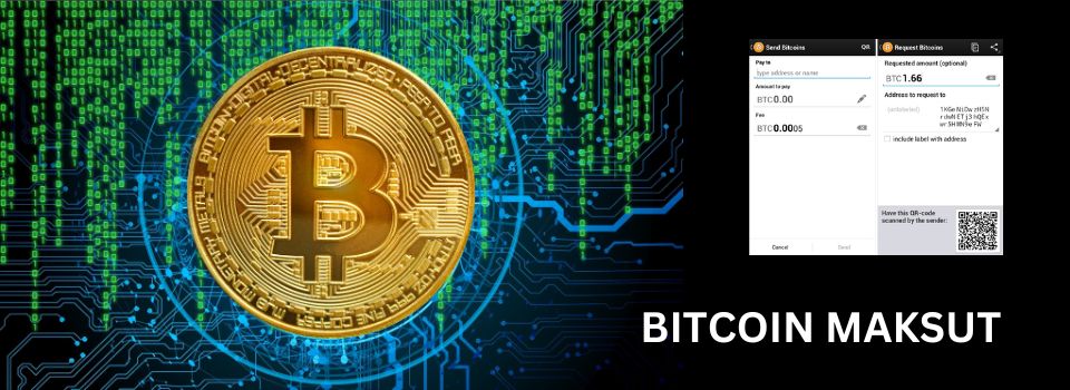 Bitcoin maksut, kuvankaappaus bitcoin maksusta