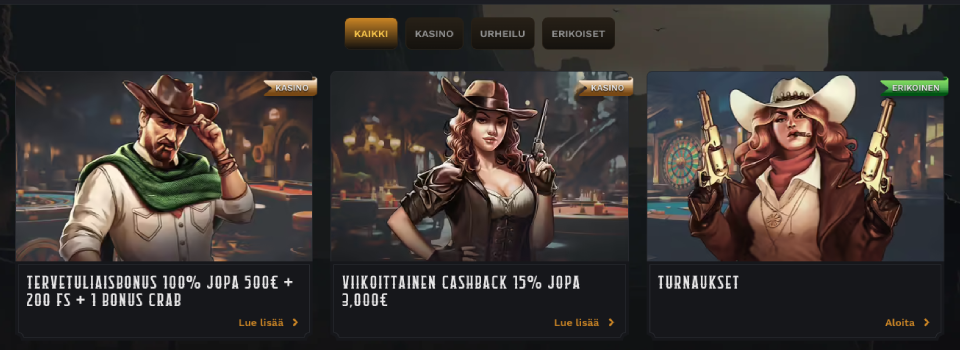 wildsino casino kasinobonukset