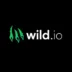 Logo von Wild.io Casino