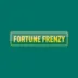 Image for Fortune Frenzy Casino