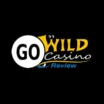 Image for GoWild casino